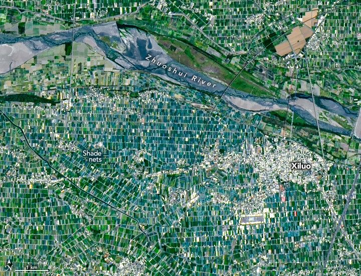 Farm fields around Xiluo appear a darker shade of green than other parts of the image because of shade nets.